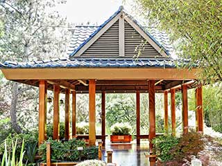 Backyard Pergola In Calabasas CA